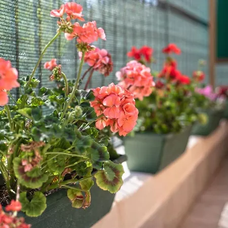 شقة Garden House Vale روما